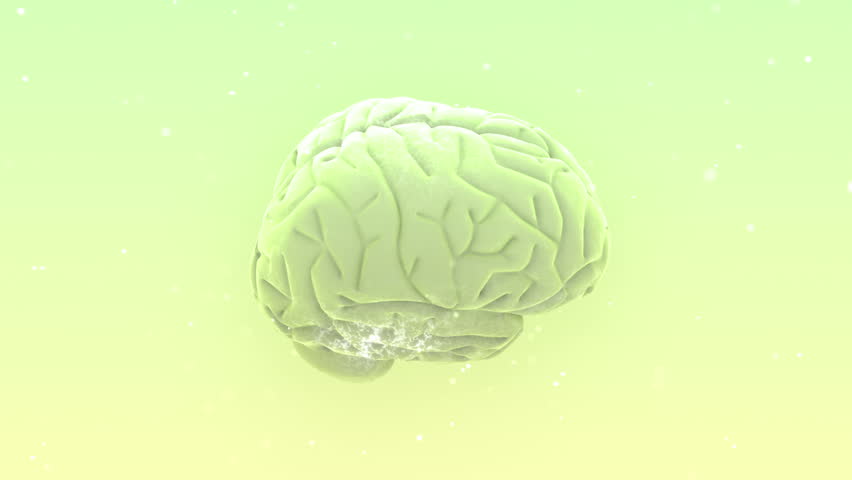 Brain images.
