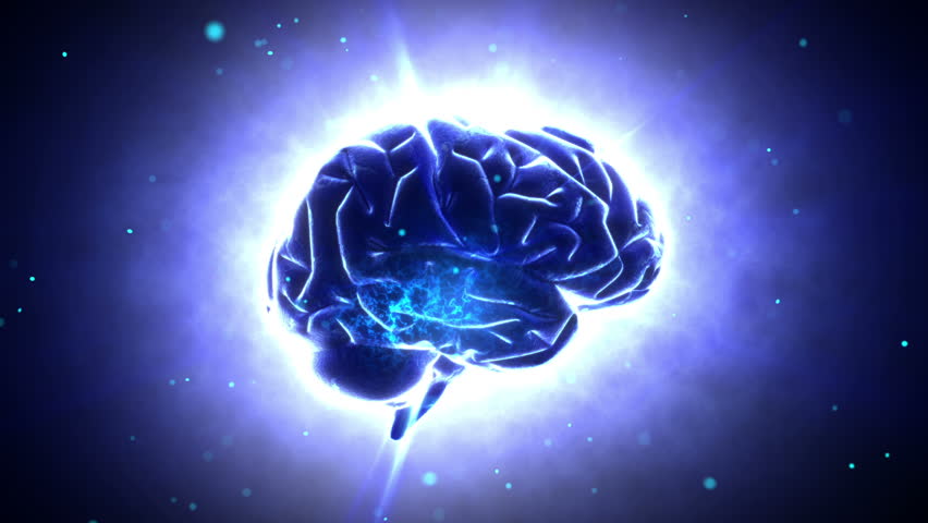 Brain images.