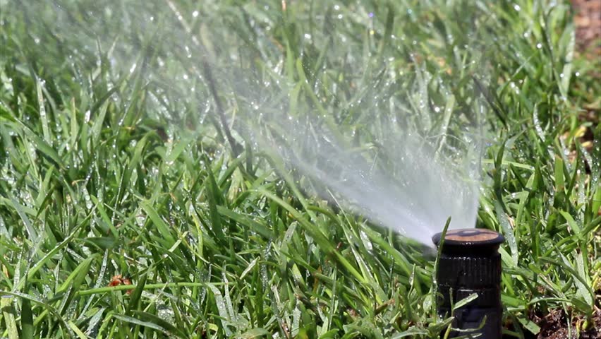 Garden Irrigation Spray System watering lawn
