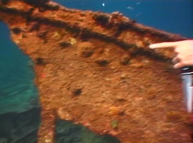 Extreme scuba diving. Terrible fish attacks and following the man 