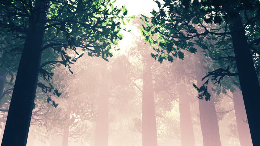 Deep Forest Fairy Tale Scene Fireflies 3D render
