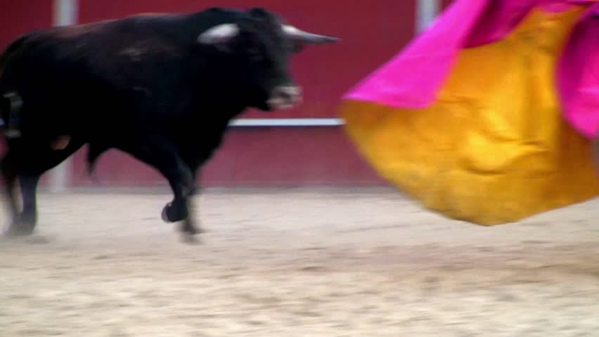 Spanish bullfight