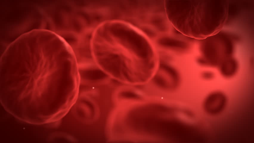 Red blood cells - part 2