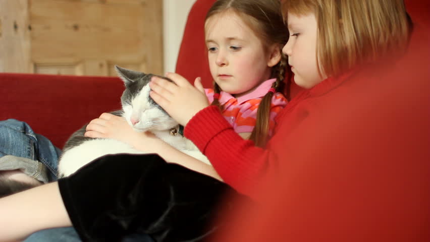 Two little girls cuddling a gorgeous cat on a sofa