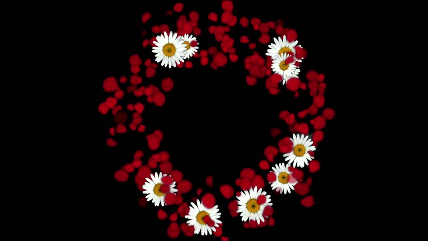 rose petals & daisy shaped wreath,wedding background,Valentine's Day.