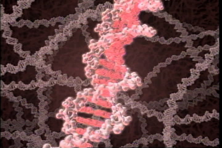 Rotating DNA spiral, zoom in to base pair mutation.
