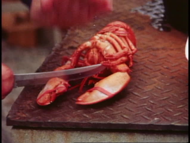 Lobster shack eatery, close up, cut claws open, Bar Harbor, Maine