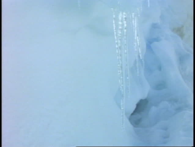 Close up of icicles dripping, Mount Rainer National Park