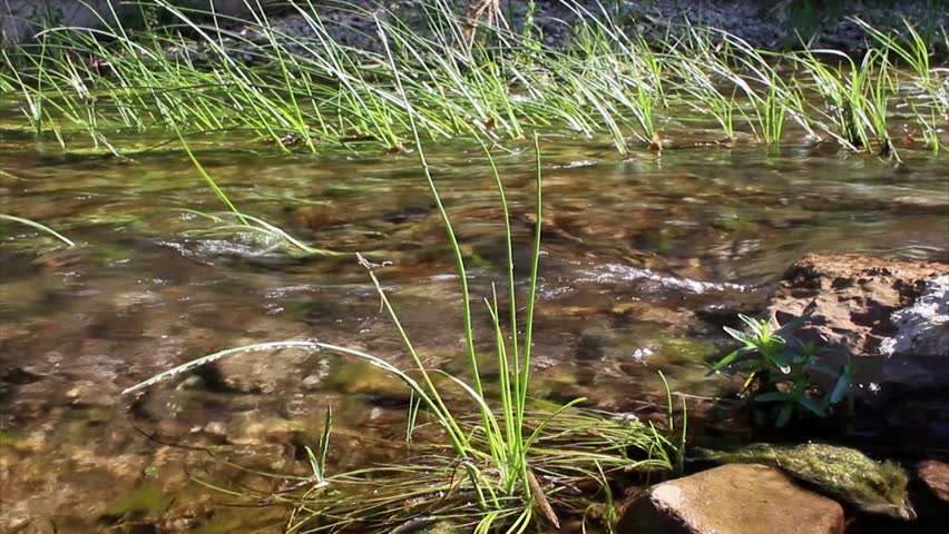 Fresh water spring stream