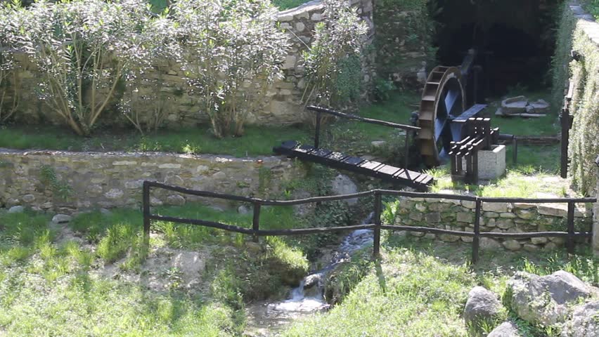 stream in the wood