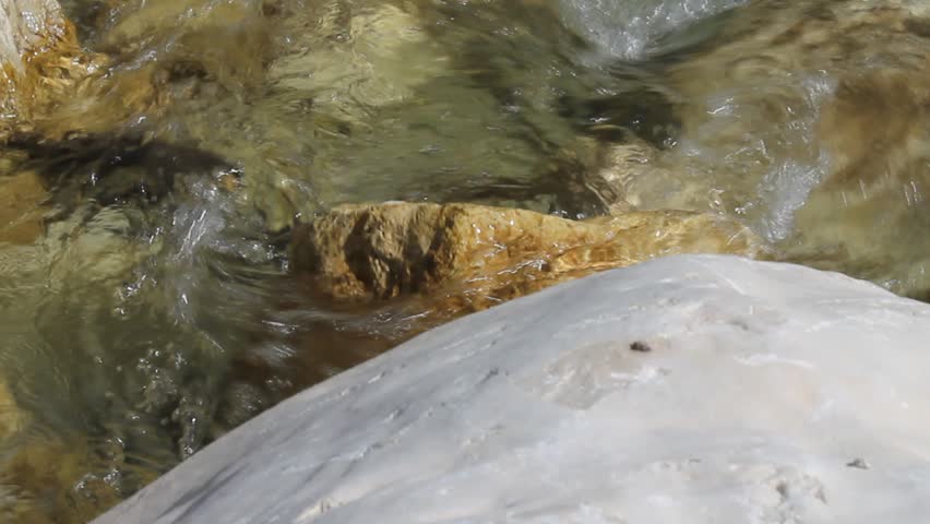 stream in the wood