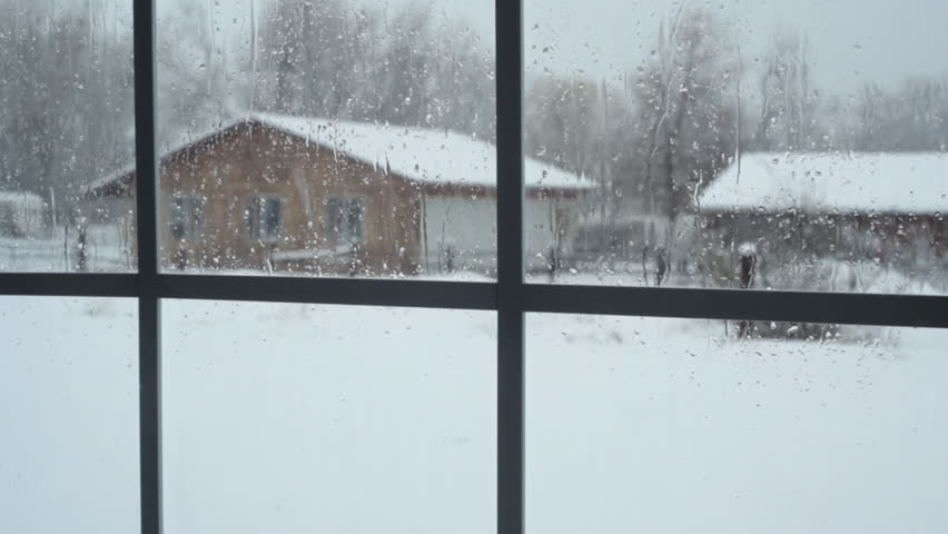 View from a window of the snowy weather outside.