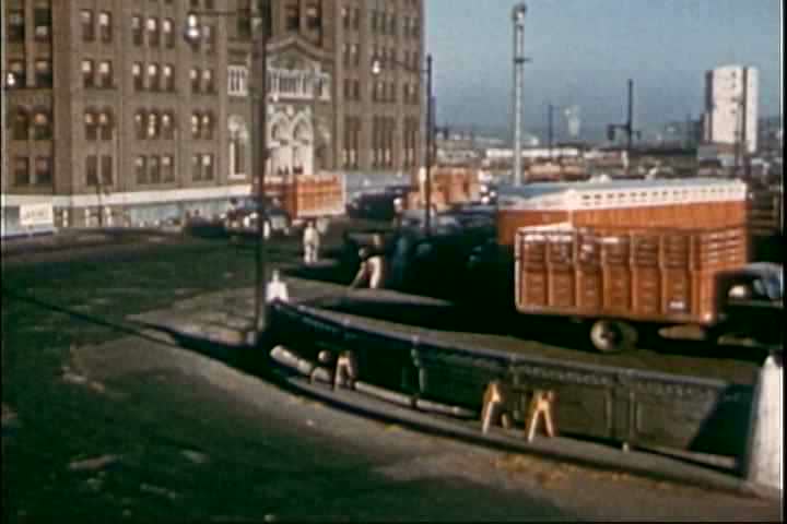 1950s - Activities at the stockyard in 1955.