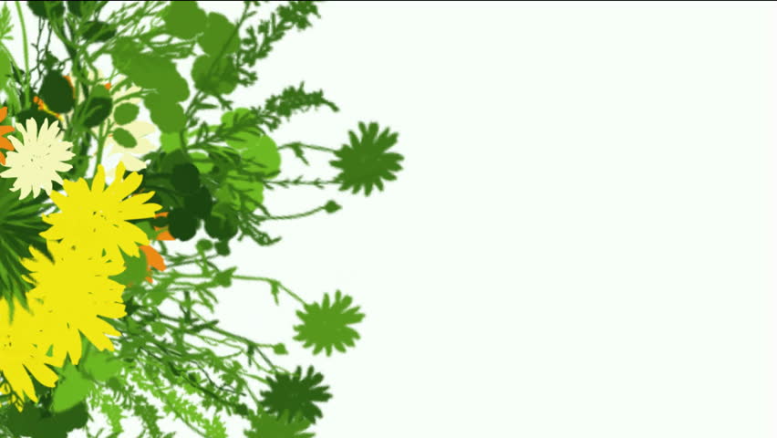 flower & plant growing silhouette.