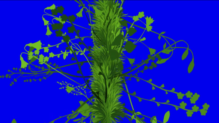 flower & plant growing background.