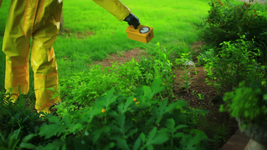 Checking the garden with a Civil Defense victoreen Geiger counter