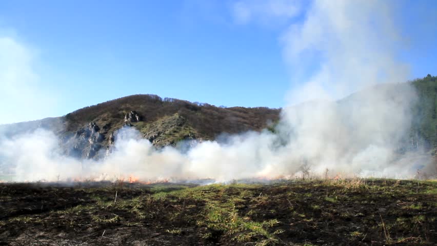 Natural Disaster Fire Smoke over Burned Fields Danger Nature Background HD