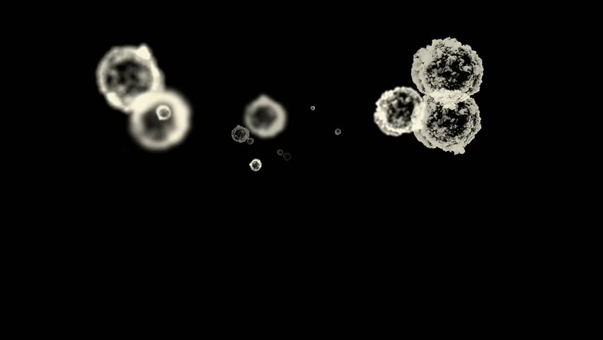 cells & virus,dust particles.