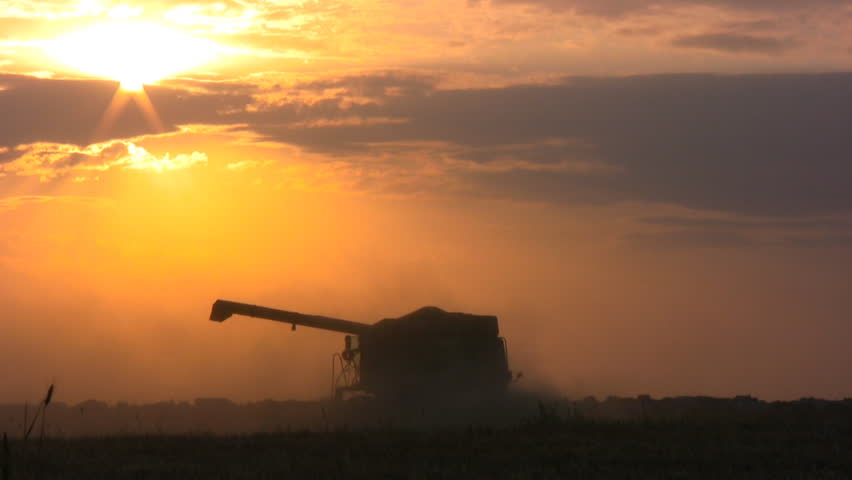 Harvester completes harvest. The engine stops working. Silhouette of the driver of the harvester. Magnificent sunset