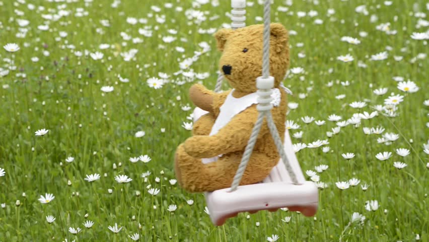 swinging teddy bear