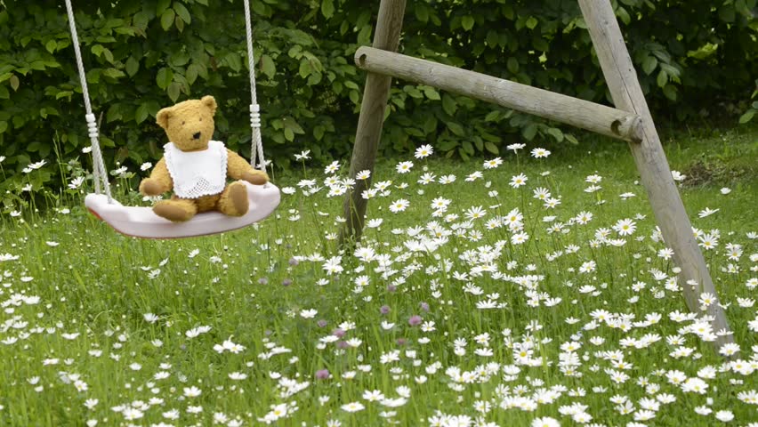swinging teddy bear