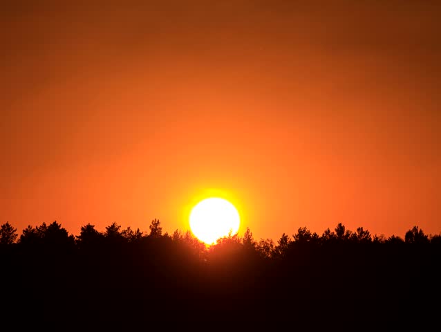 The sun sinks behind the trees. Glare-free from insects. 4x3
