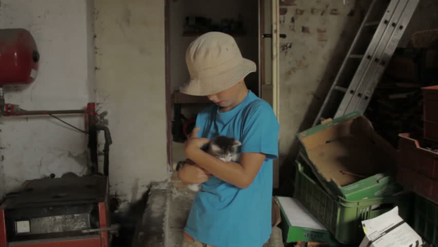 boy holding and stroking a kitten