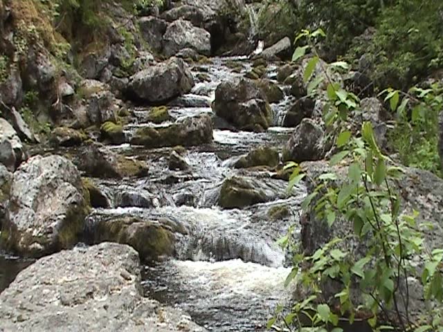  Mountain Creek
