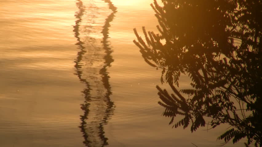 Reflexion in morning beams of sun. 