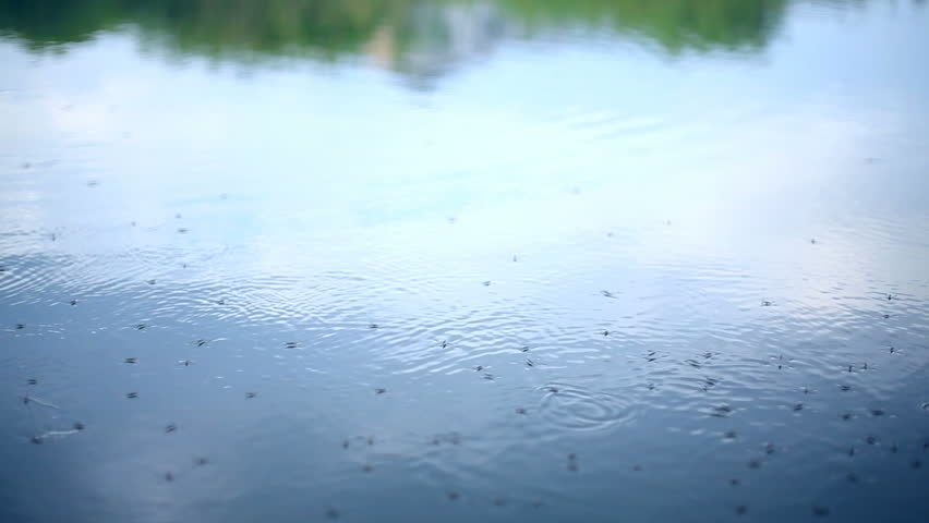 Walking on water