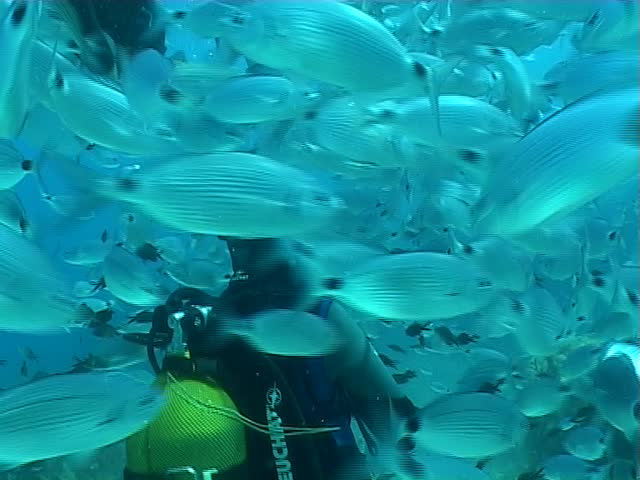 Malta underwater diving
