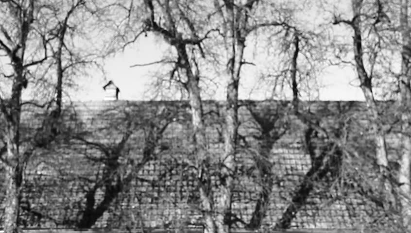 Header of Agoraphobia