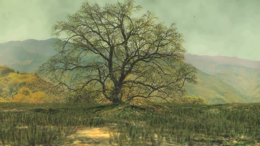 Four Seasons Background Stock Footage Video | Shutterstock