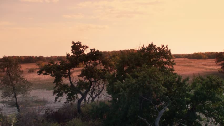 Autumn landscape in an arid area of the Danube Delta