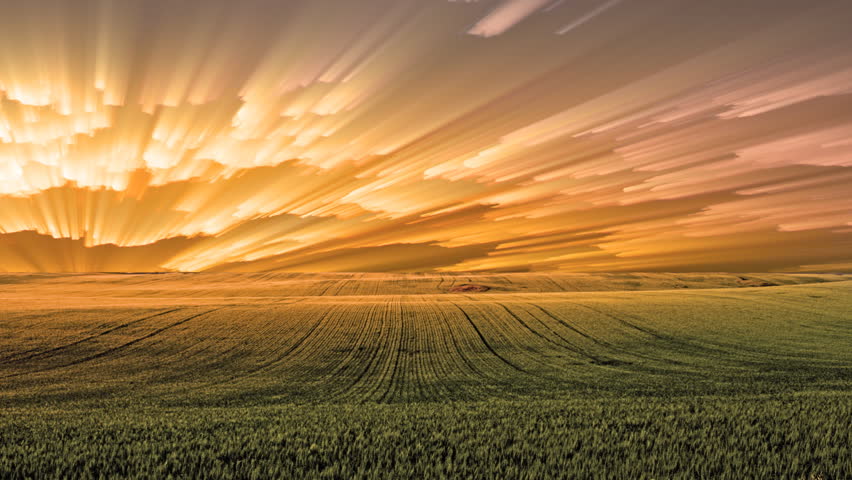 Sunset over Field