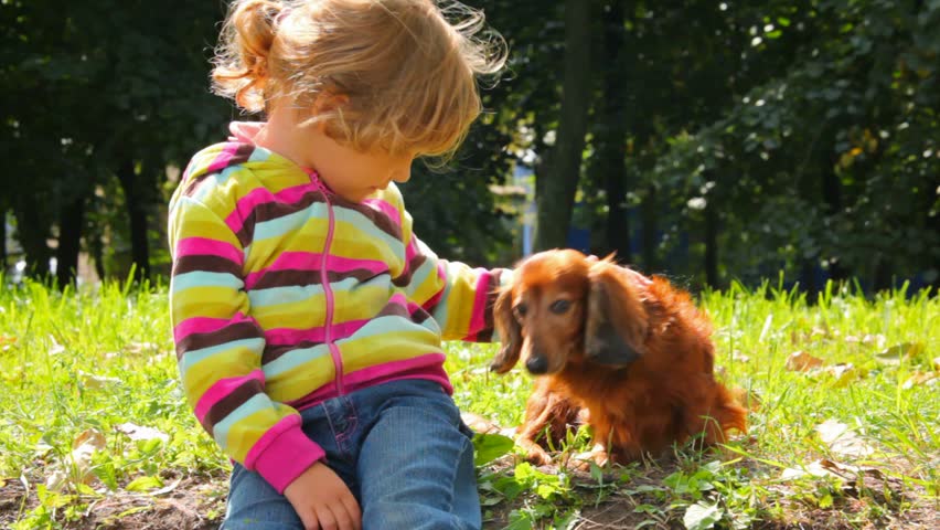 little girl stroking dog in park, hiding dog 