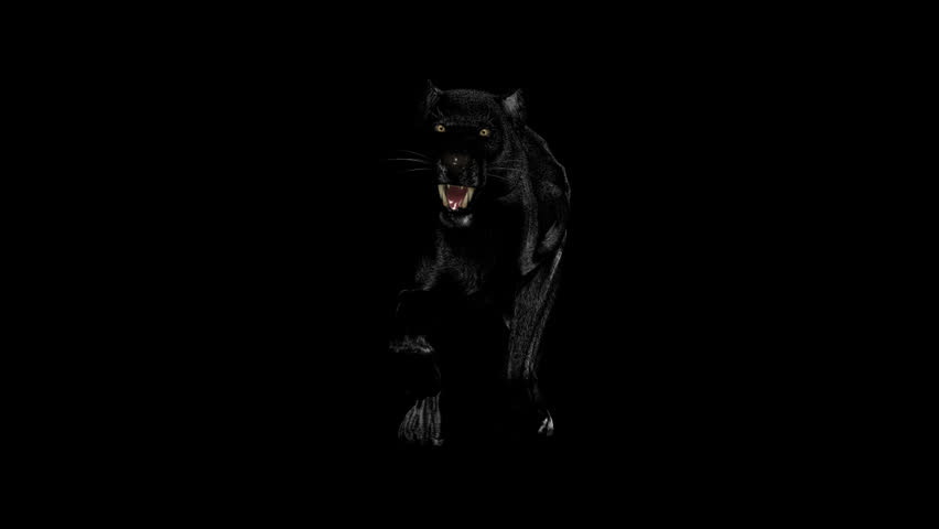 Timewarp running panther