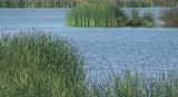 Wildlife preserve in Carlsbad, California