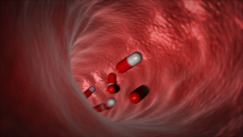 Red and white capsules inside the organism