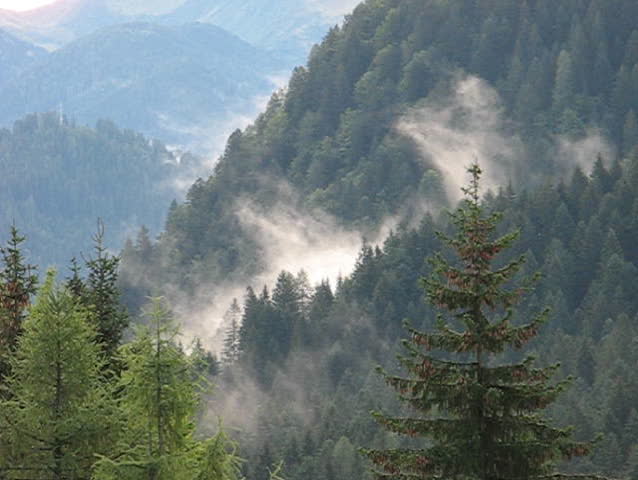 Mountain Fog