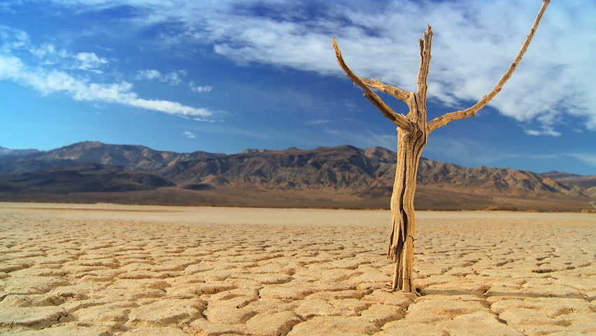 Time-lapse cloud over petrified tree in barren environmental landscape with desert hills background