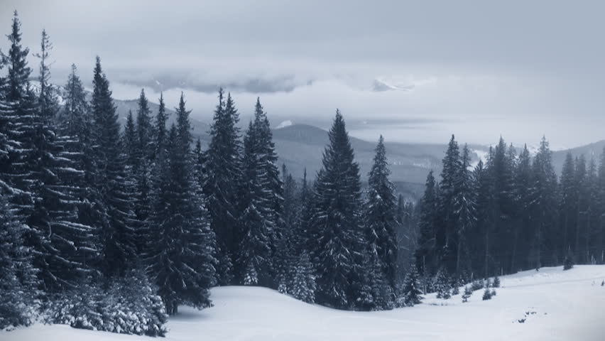 Winter fir trees in the mountains, cloudscape timelapse,  HD