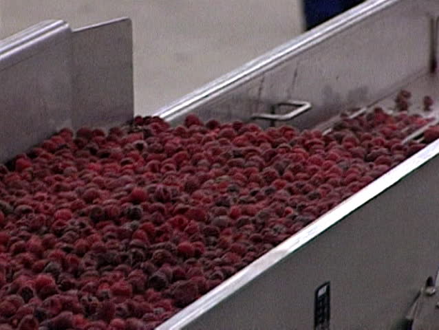 Industrial Processing of Frozen Raspberries