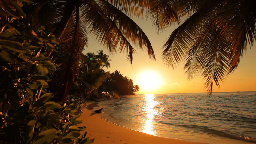 nice sunset on tropical island 
