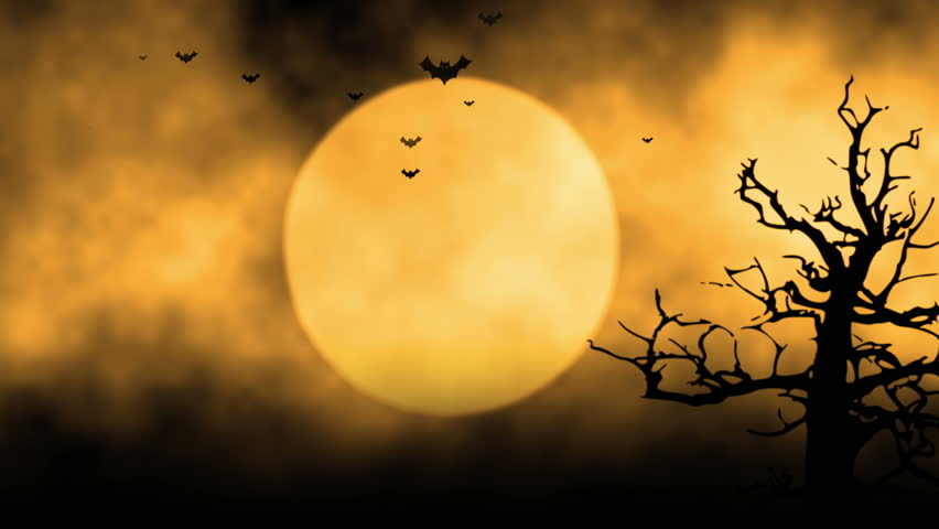 background with the elements during halloween such as ghost bats pumpkins and so on stock footage video 7305004 shutterstock - Halloween Background Video background with the elements during halloween such as ghost bats pumpkins and so on stock footage video 7305004 shutterstock - Halloween Background Video