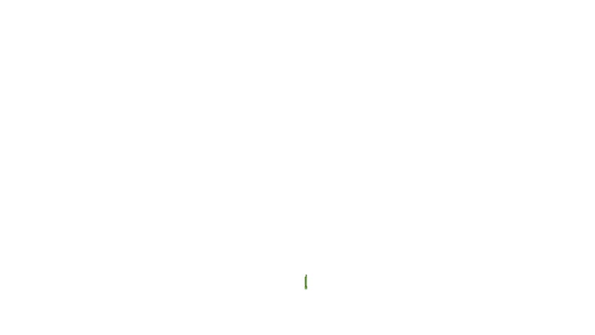 Growing Growing green plant on white background. With luma matte you can choose whatever background you like. 