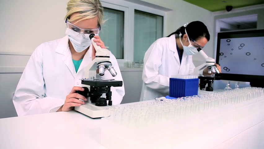 Two female medical researchers working with microscopes in laboratory conditions