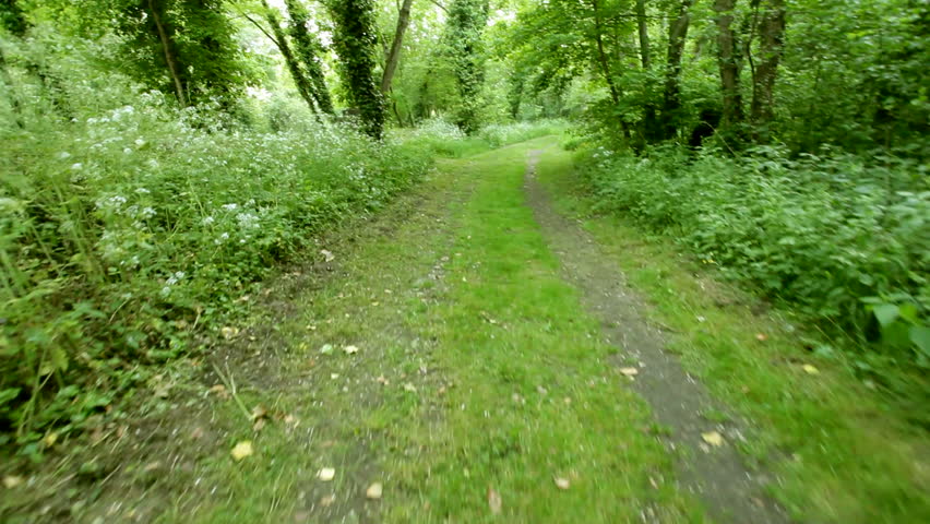 fast run in forest footpath, point of view