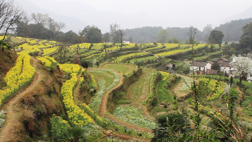beautiful old village in China