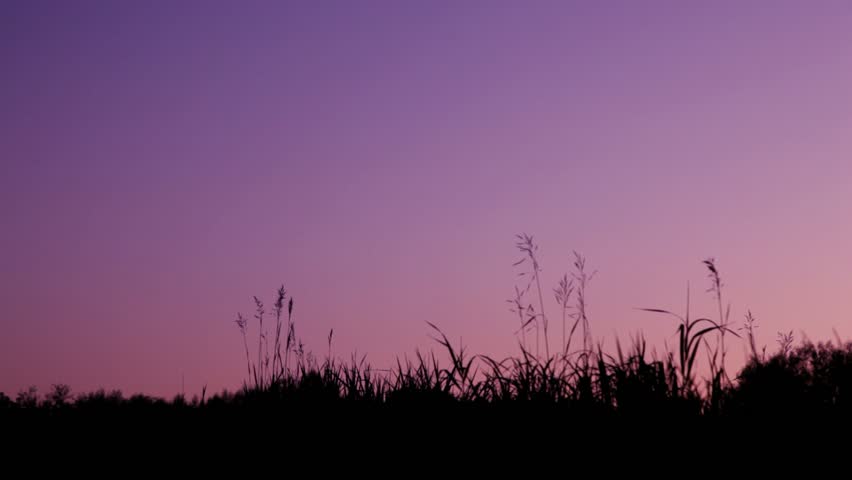 man with backpack walks on field, sunset sky in background 